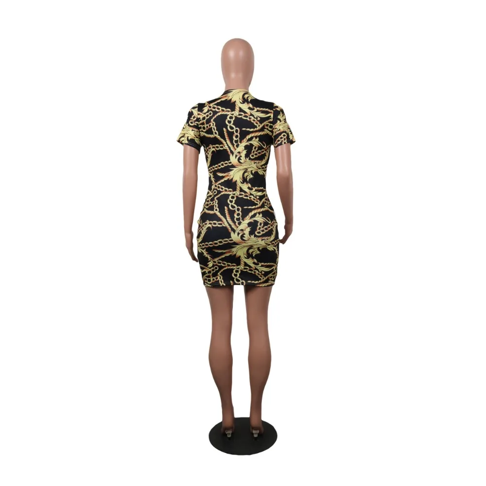 8568904307_1745504819