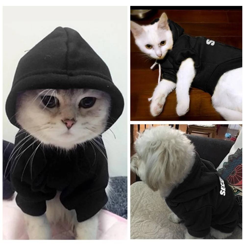 Модная одежда для кошек, пальто для кошек, куртка для питомцев, худи для маленьких кошек, собак, Одежда для питомцев, костюм-свитер для чихуахуа, Мопса