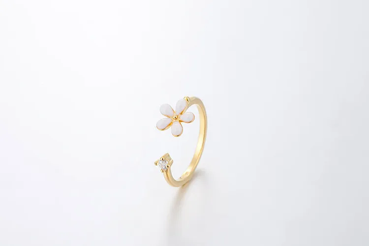 8162577052_1039125567