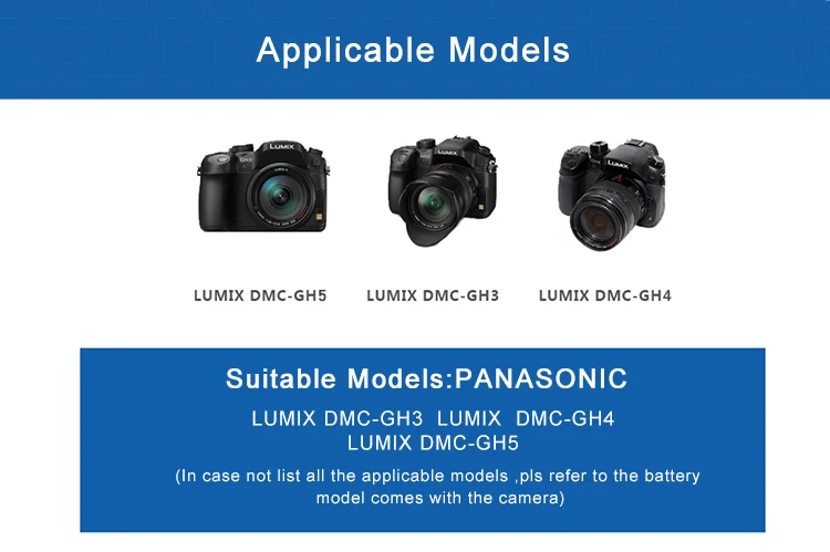 DMW-BLF19E-battery-and-charger-(details-photos)-1960mAh_13