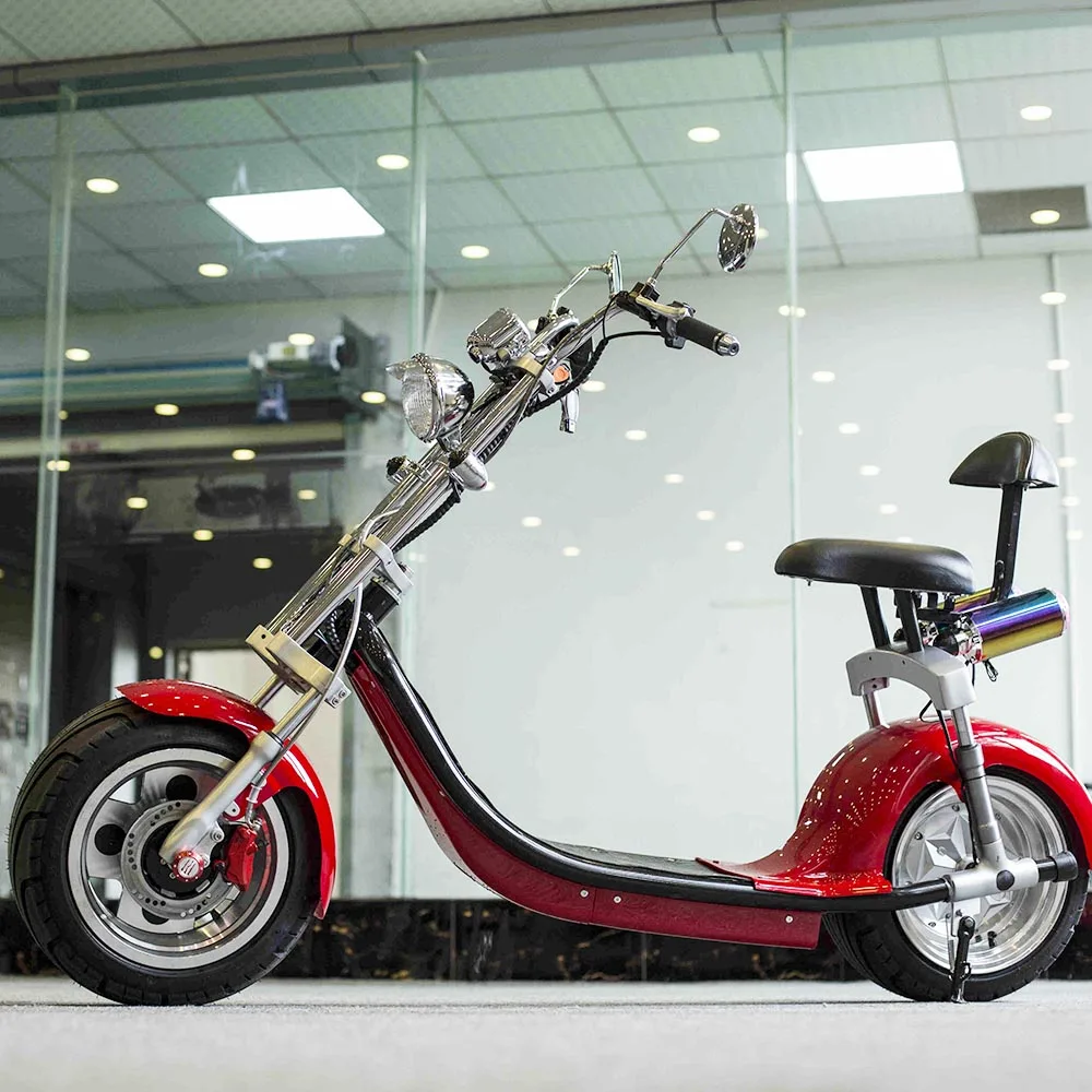 citycoco scooter (12)