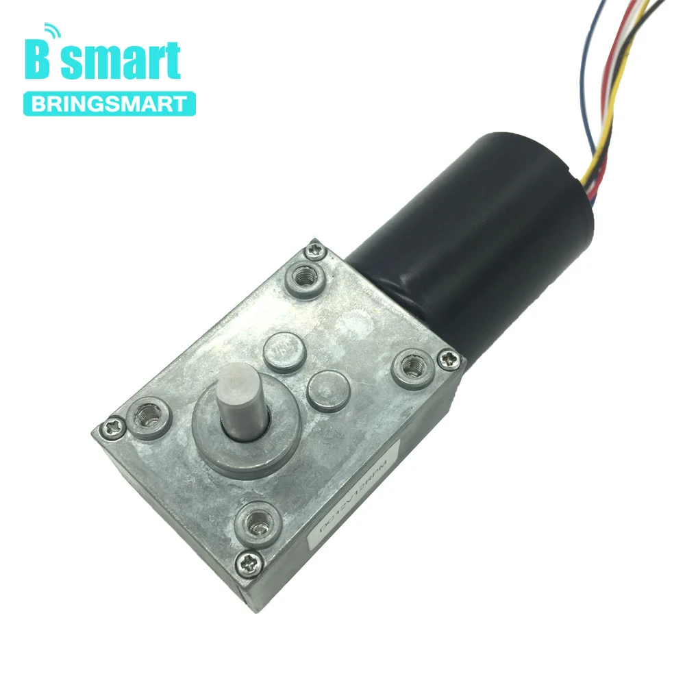 

Bringsmart 24V Reversible Self-locking Gearbox Brake 5840-3650 BLDC Motor 12V DC Worm Gear Motor Mini Turbine Worm Reducer