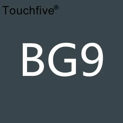 TOUCHFIVE дополнительный цвет двойная головка художественные маркеры Кисть ручка на спиртовой основе эскизные маркеры манга ручки для рисования товары для рукоделия - Цвет: BG9