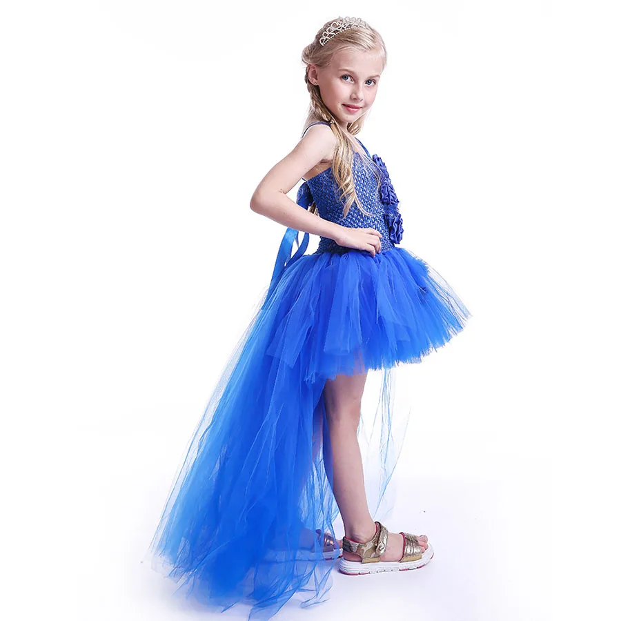 Kids Princess Blue Flowers Long Tail Tutu Dress Baby Girls Summer Tulle Wedding (5)