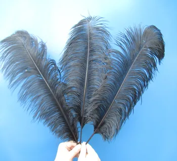 

Wholesale Beautiful black ostrich feathers 50pcs 16-18 inches / 40-45 cm Free Shipping
