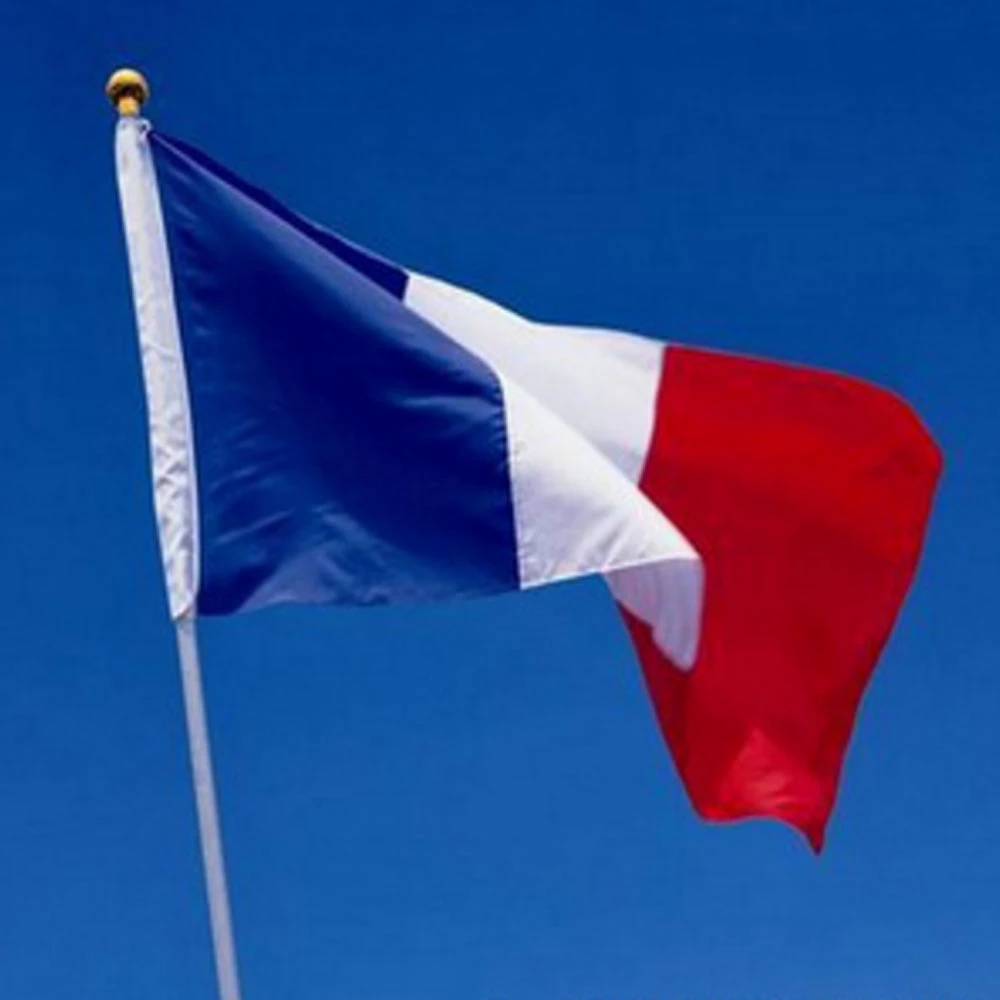 16 Nouveau Francais Drapeau 3 5 Pieds Polyester Flag 90 150 Cm Grandes Bannieres France Drapeau Banniere 1 Pieces Livraison Gratuite Aliexpress