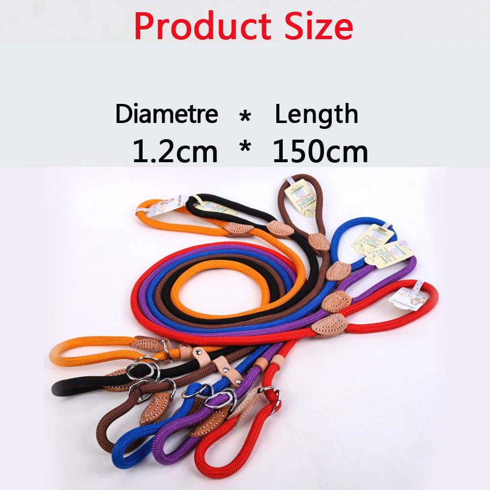 dog leash 3