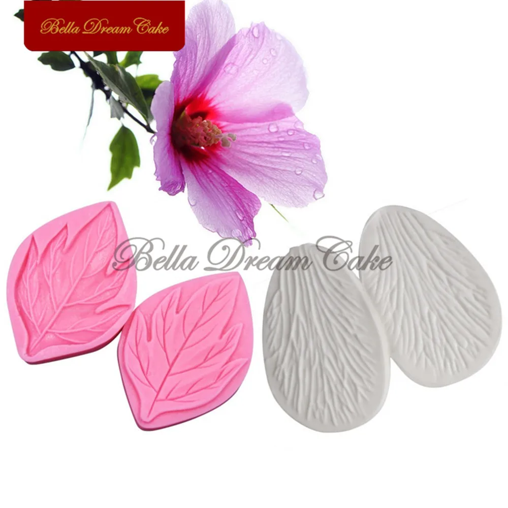 Hibiscus-1__4