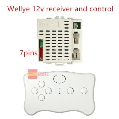 wellye 12v receiver