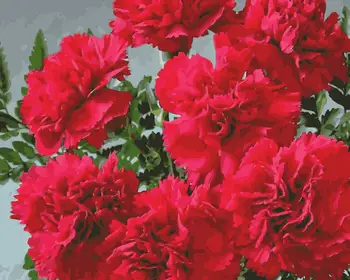 

MaHuaf-i928 DIY Painting by numbers flowers red Carnation wall decor acrylic brush painting paint coloring by numbers on canvas