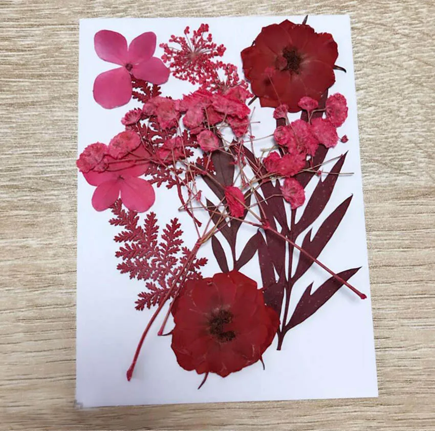 Фоторамка для ювелирных изделий 1 комплект|dried pressed flowers|leaf plantspressed flowers |
