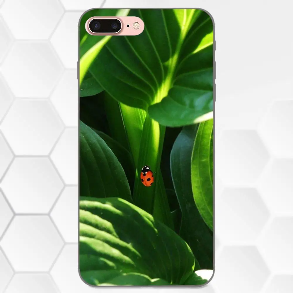 Для Apple iPhone 4 4S 5 5S SE 6 6S 7 8 Plus X XS Max XR мягкий силиконовый чехол из ТПУ с рисунком милой
