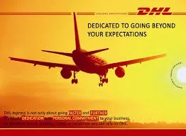 

4-7 Business days DHL Shipping Carrier