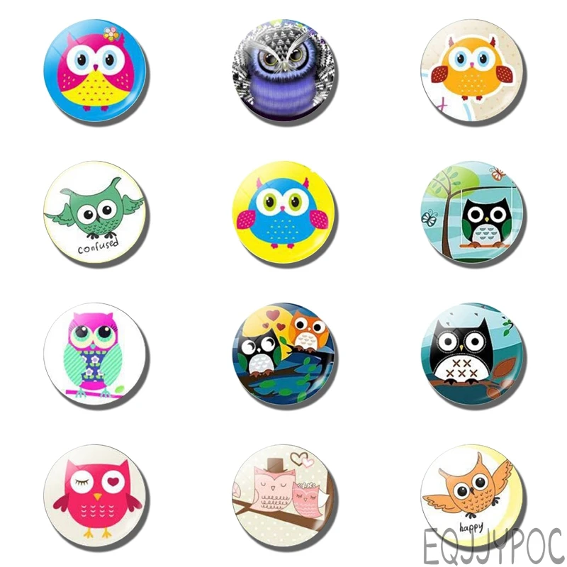 

12pcs Cartoon Cute Owl 25MM 30MM Fridge Magnet Trendy Celtics Owl Kid Glass Dome Home Decor Magnetic Refrigerator Sticker