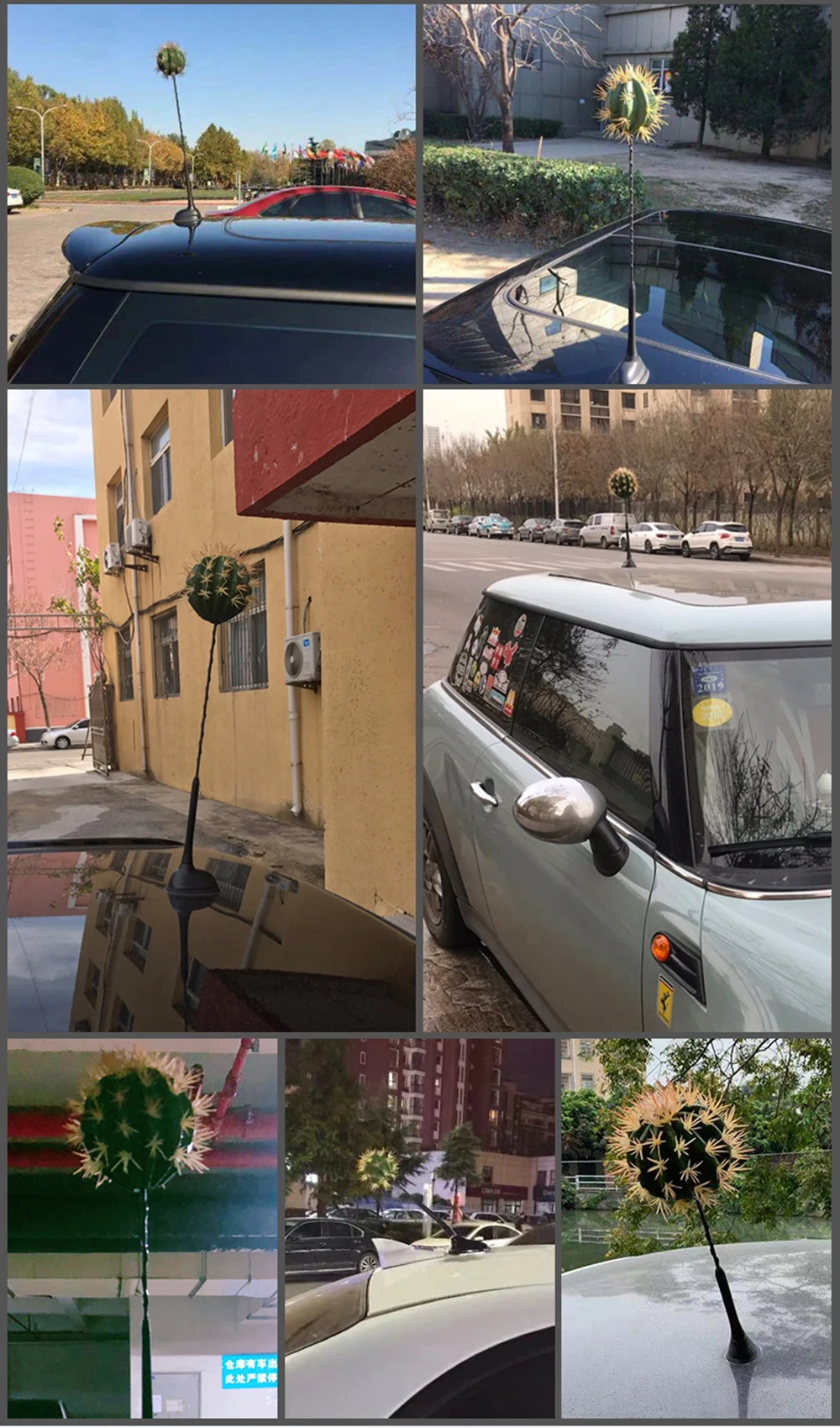 20190311_135643_008