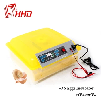 

12V+220V 56 Eggs Brooder Mini Temperature and Humidity Controller for Incubator Hatching Chicken Duck Quail Parrot Bird