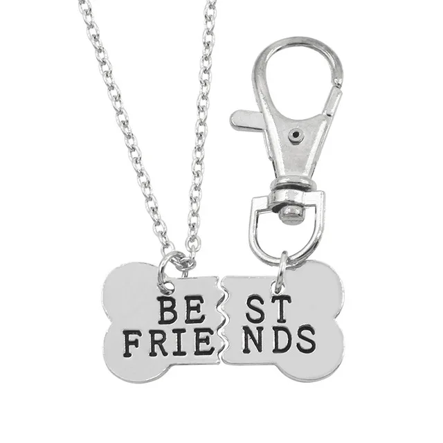 

2pcs/set Gold Silver Color Pet and master Dog Bone Best Friends Charm Necklace & Keychain BFF Bones Friendship Jewelry