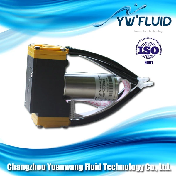 Micro air usage BLDC motor vacuum pumpin Pumps from Home Improvement