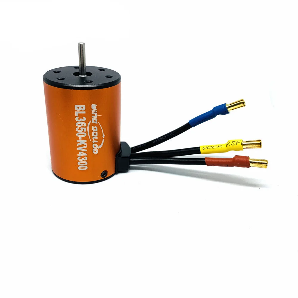 BL3650_4300kv_1