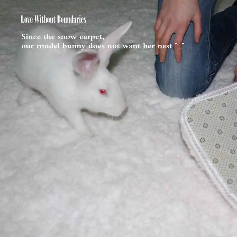 WHITE SNOW CARPET (15)