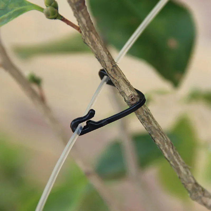 

50/100Pcs Garden Plant Vegetable Grafting Clips Vines Greenhouse Fastener Tied Fixed Buckle Hook Grape Support Tendril Clip