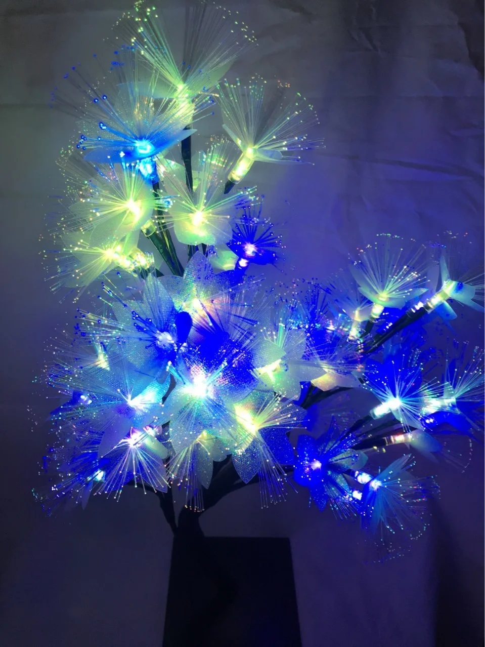 3561949903_427612168