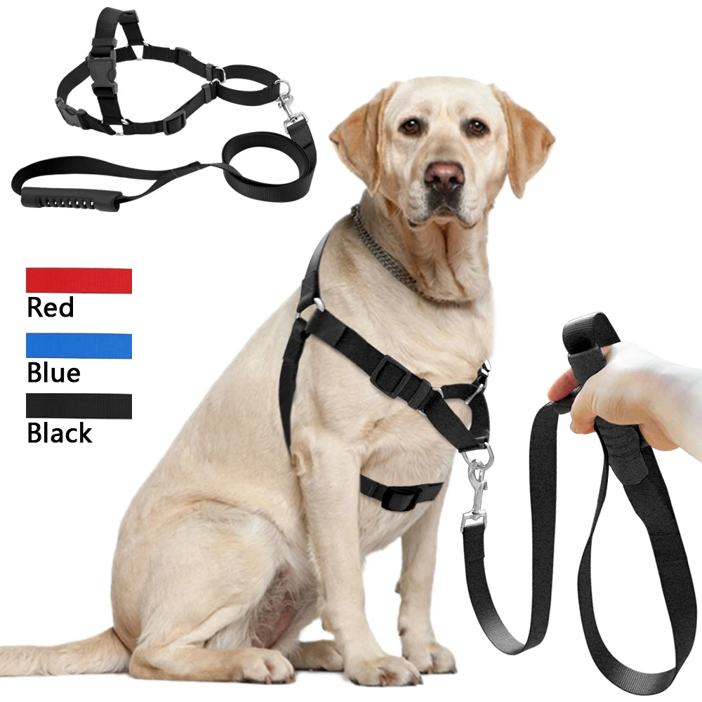 High Quality Walk Harness &amp; Leash Set No Pull Training ...