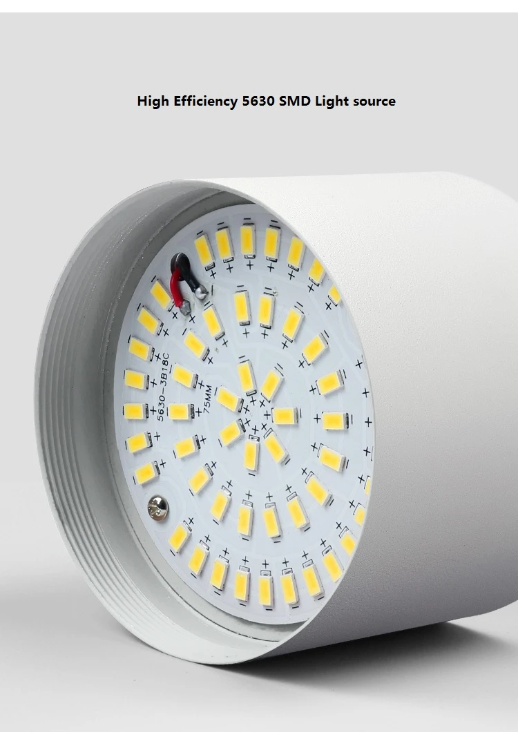 O1CN010jwK3D1HaX2hKQtGk_!!520760774