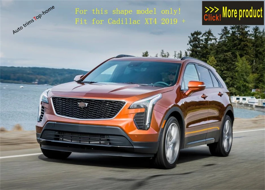 XT4 2019-3