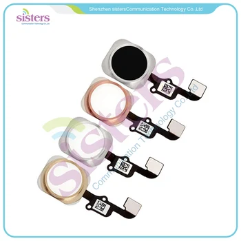 50pcs/lot Wholesale Home Button Key Flex Cable Assembly Replacement for iPhone 6S 6S plus 50pcs/lot Wholesale Home Button Key Flex Cable Assembly Replacement for iPhone 6S 6S plus