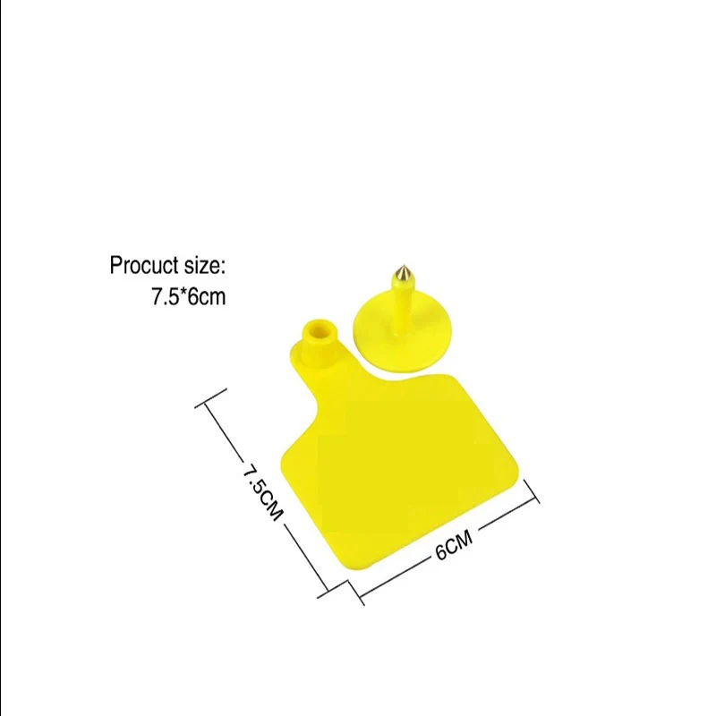 dsd