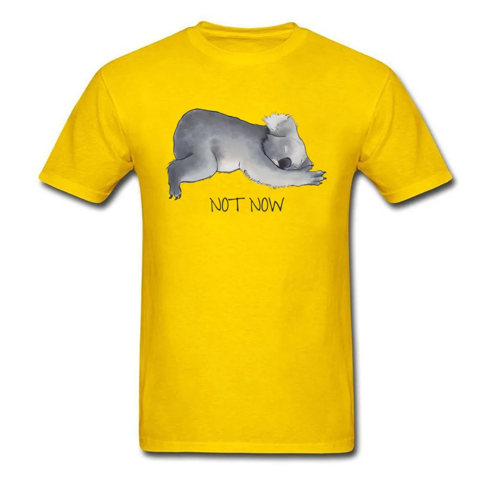 Koala Sketch - Not Now - Lazy animal_yellow