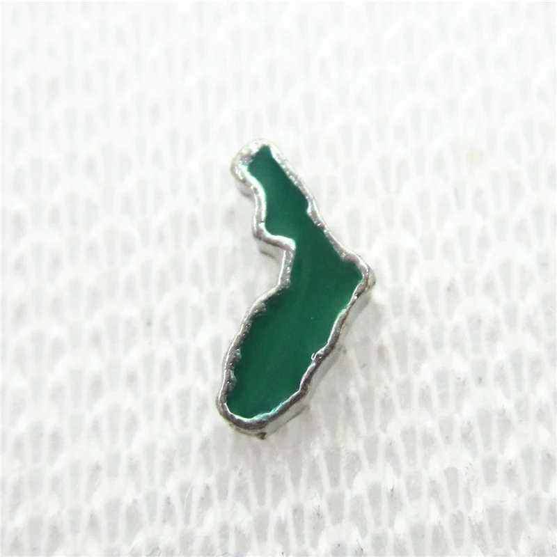 

Hot Selling 30pcs/lot Florida Floating Charms Living Glass Memory Floating Lockets Pendants Charms DIY Jewelry Charm