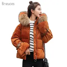 2018 winter jacket women short cotton-padded Hooded jacket parkas female wadded jacket outerwear winter coat women цена 2018 winter jacket women short cotton-padded Hooded jacket parkas female wadded jacket outerwear winter coat women цены онлайн
