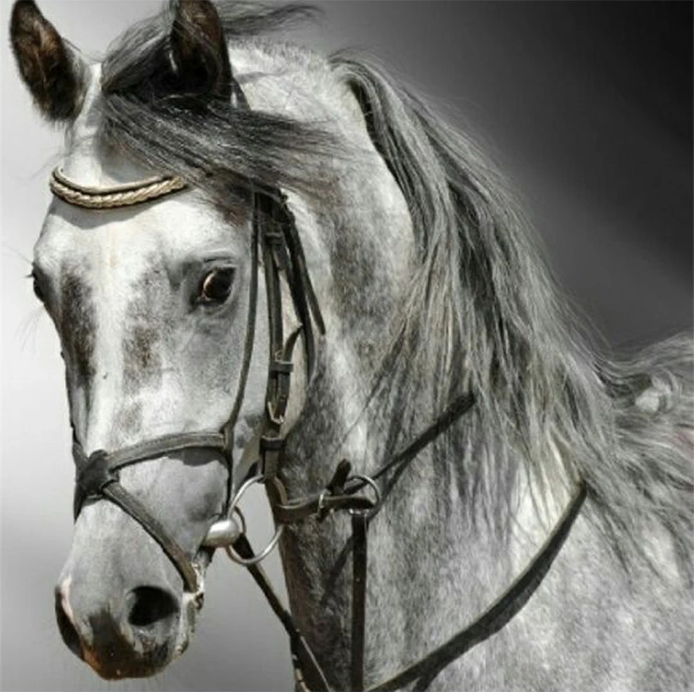 

LI LOYE 5D Diamond Painting Cross Stitch White horse Pattern DIY Rhinestone Needlework Embroidery Mosaic Home Decoration RT1021