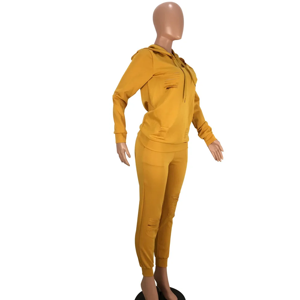 9529891766_1571372787