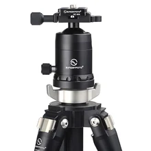 SUNWAYFOTO CCarbon Fiber штатив и шаровая Головка Combo T2C40C-T1(T2C40C+ FB-44II+ DP-60R+ LWP-02