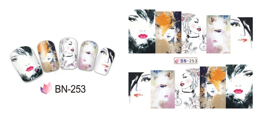 BN253