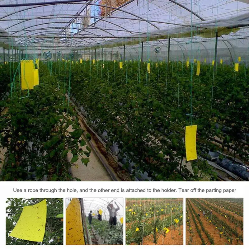 1 шт. уличные Ловушки для мушек двусторонняя клейкая доска Aphid Fruitfly насекомые