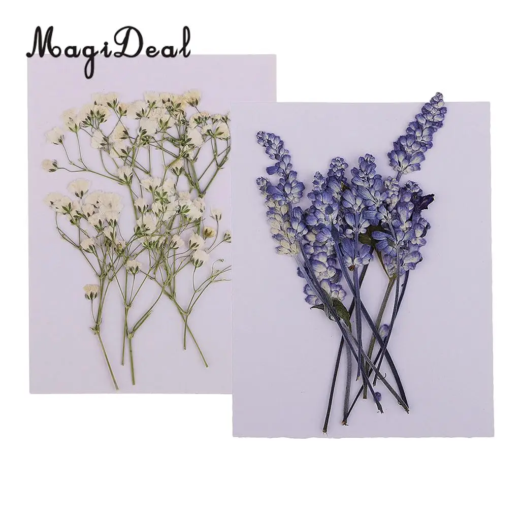 Pack 20 Pressed Sage Flower Babysbreath Dried Flowers for Art Craft Scrapbooking Epoxy Resin Jewelry Making DIY Materials