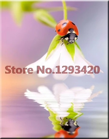 

Ladybug Diy Diamond Painting Flower Needlework Full Rhinestones Diamond Mosaic Diamond Embroidery Diamond Cross Stitch