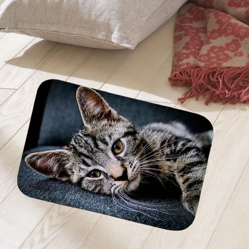 Cute cat carpet 40x60cm floor mat hallway doormat suede