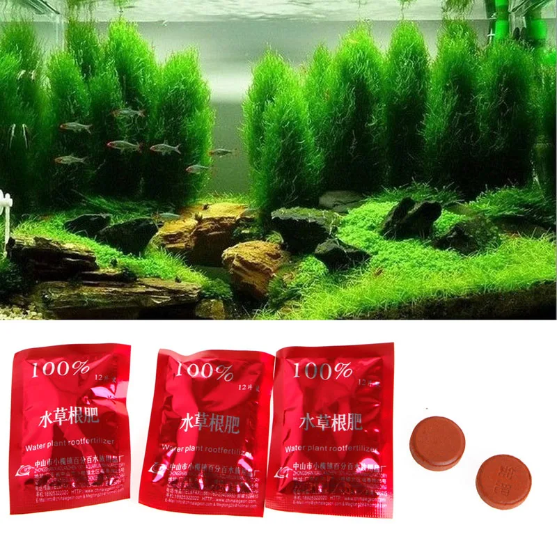 36pc box aquarium fish