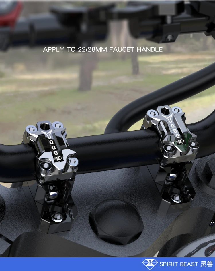 _06