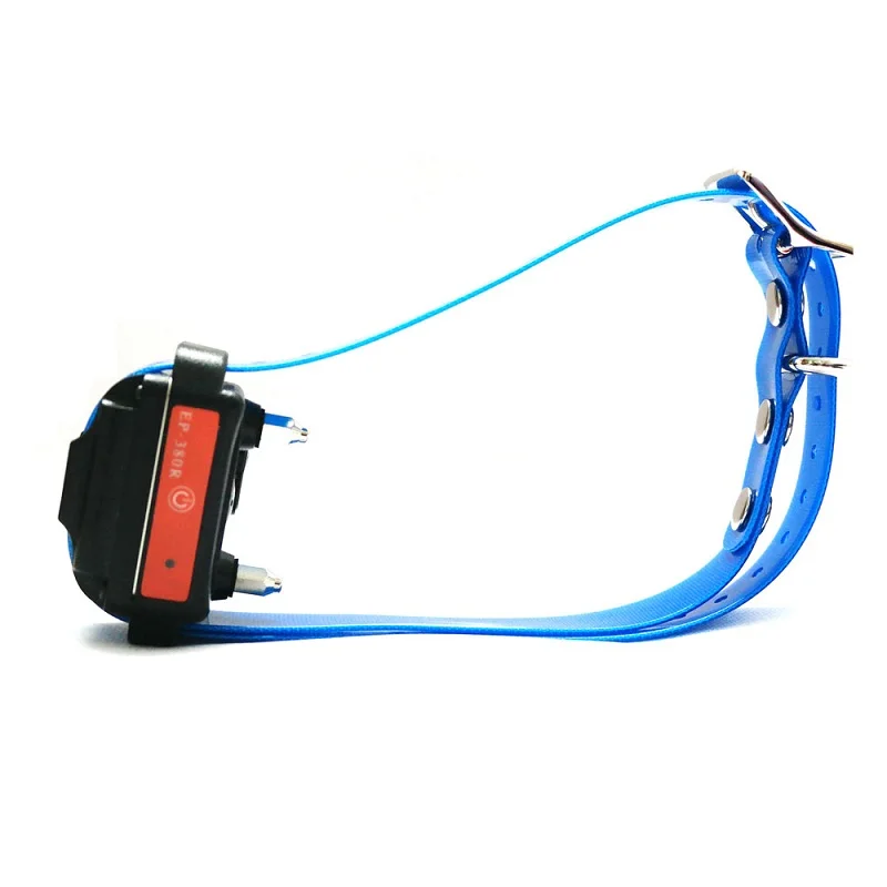 dog receiver-blue