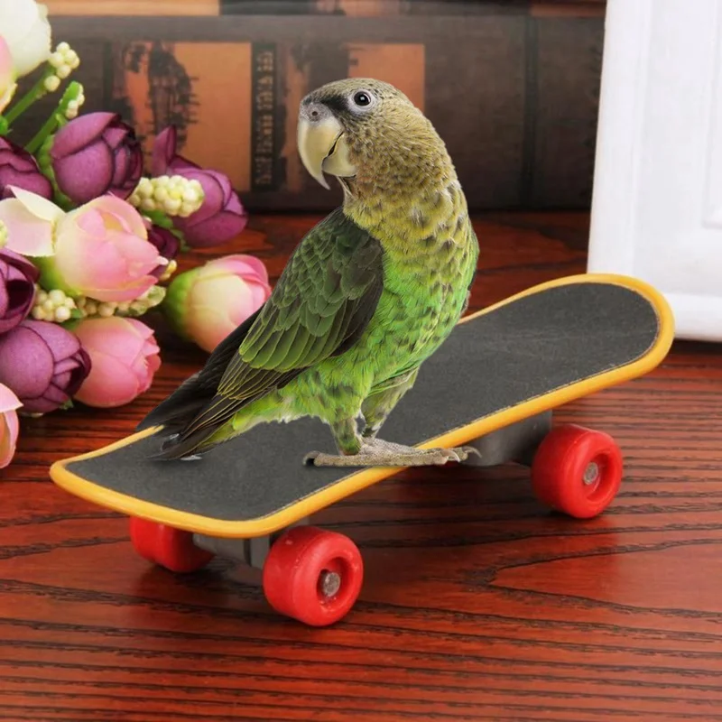 Креативный 1 шт. мини тренировочный скейтборд для попугай, волнистый попугай петухи Agapornis Conure Попугай Игрушка для скейтборда забавная птица игрушка поставка