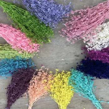 

1 Bundle 90-100g Preserved Dried Eryngium Foetidum Flower For Craft Gift Material Accessory Decoration Flower Arranging DIY