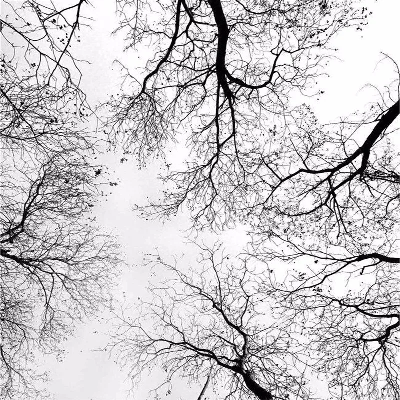 -wallpaper-modern-minimalist-black-white-branches-smallpox-integrated-ceiling-mural-backdrop-photo-wallpaper-modern-painting (1)