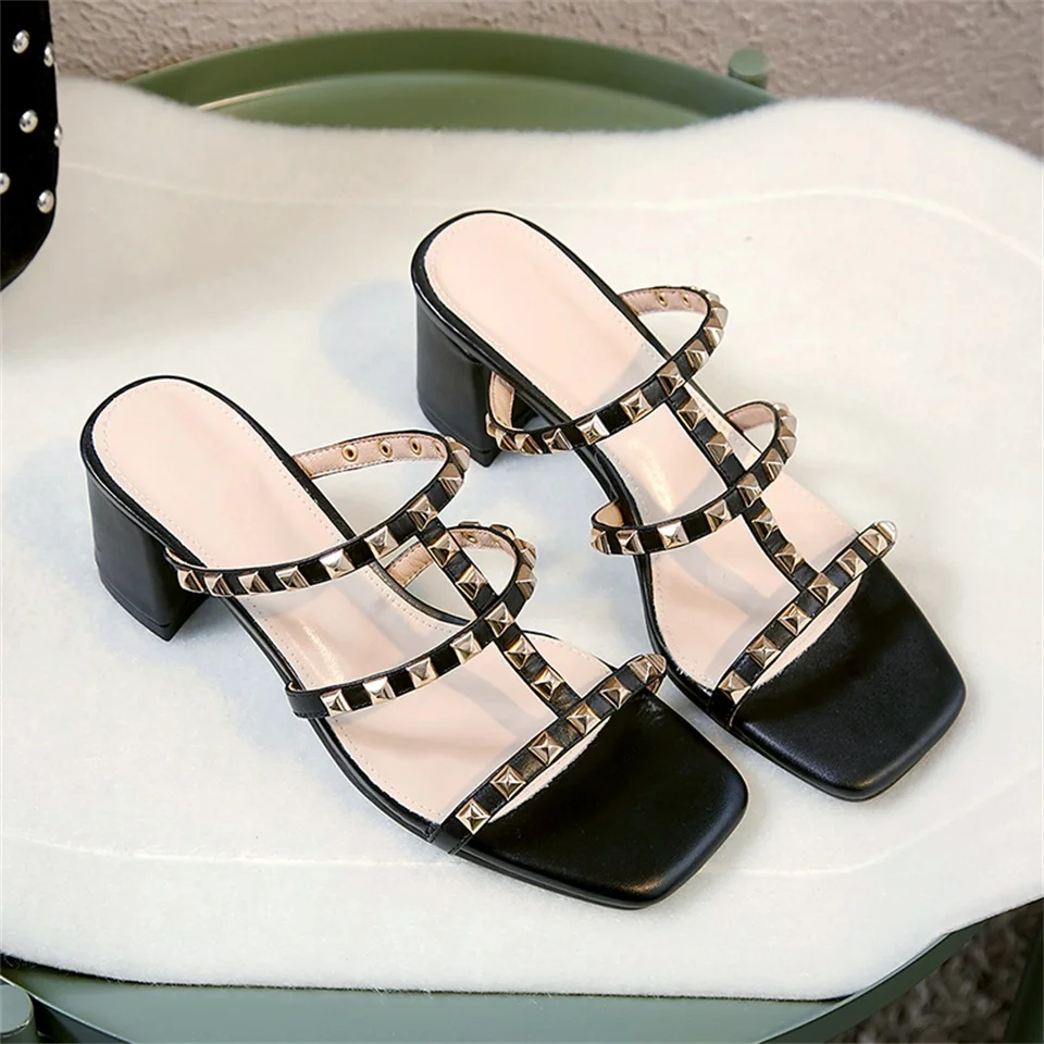 PU2A6324