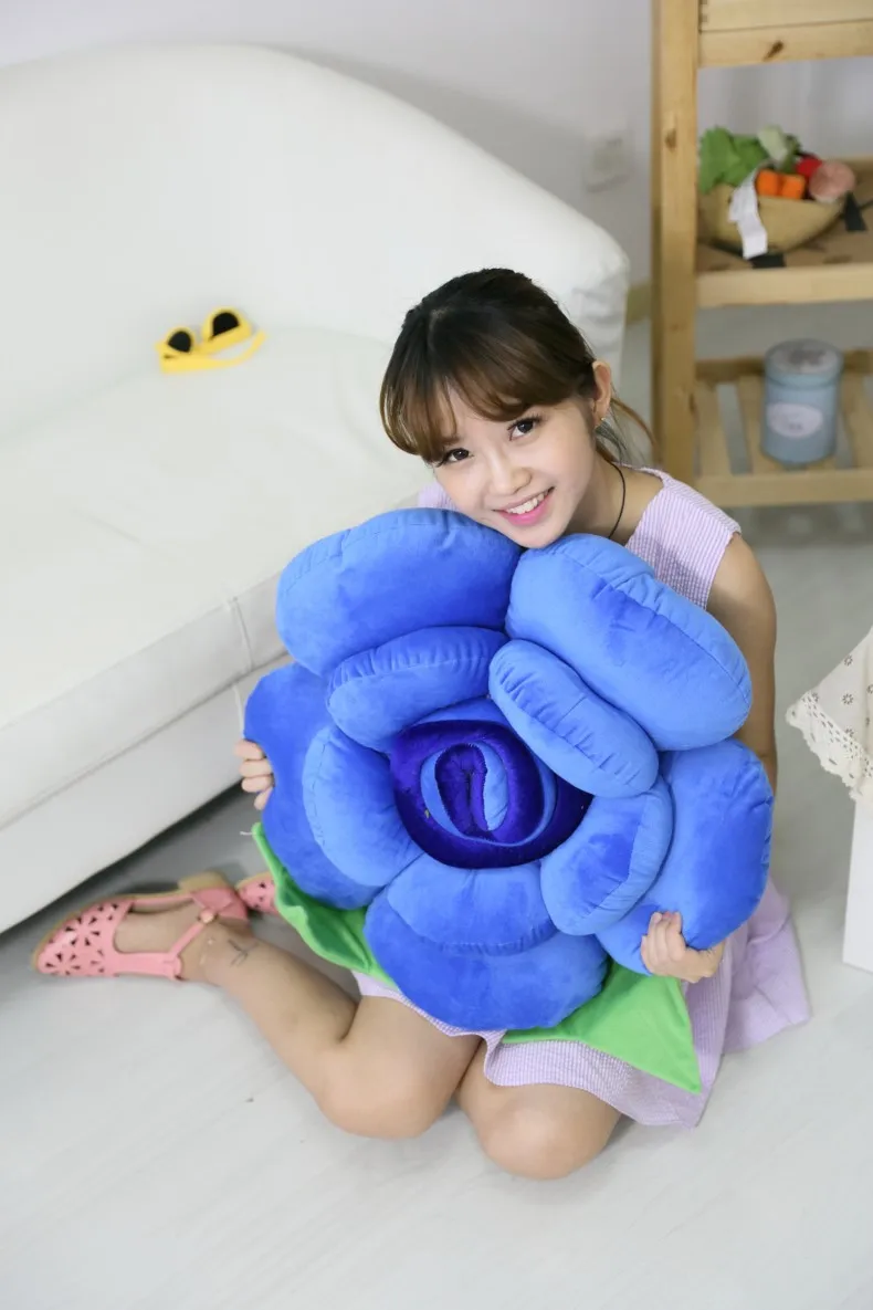 DPP_467_conew1